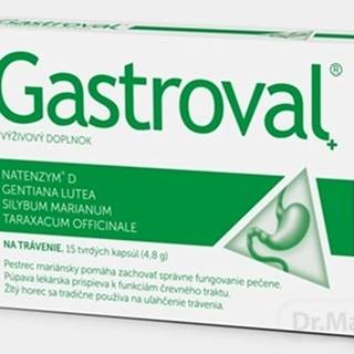 Gastroval +